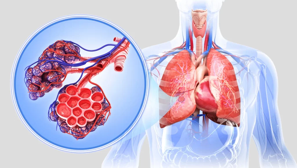 Side effects of air conditioning on health, side of air conditioning on lungs