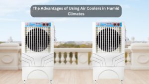 Best air cooler for humid climates